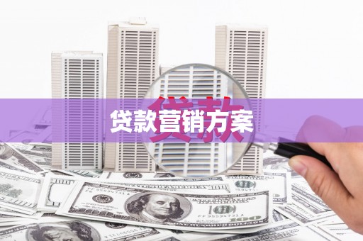 玉树贷款营销方案