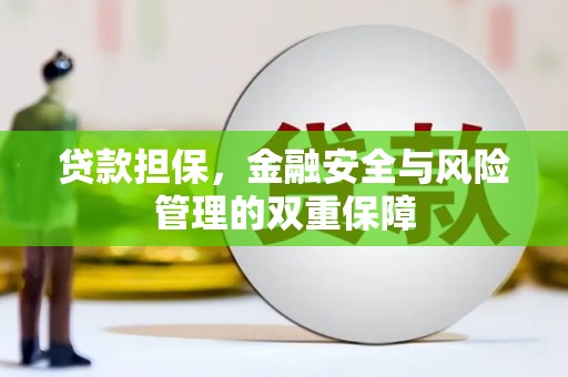 玉树贷款担保，金融安全与风险管理的双重保障