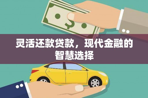 玉树灵活还款贷款，现代金融的智慧选择