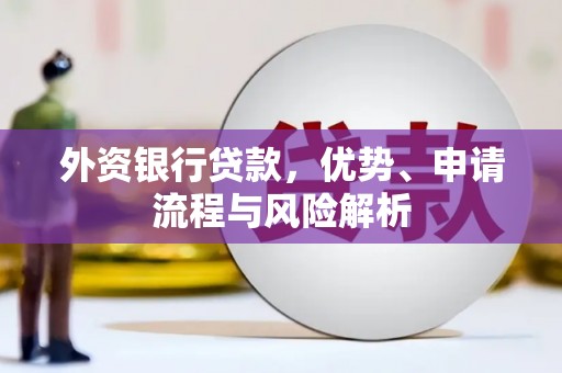 玉树外资银行贷款，优势、申请流程与风险解析