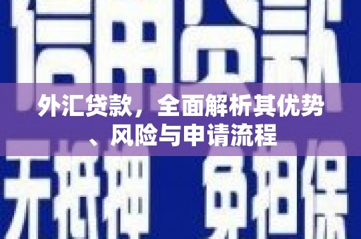 玉树外汇贷款，全面解析其优势、风险与申请流程