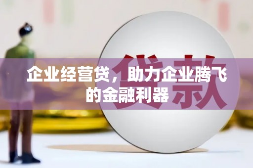 玉树企业经营贷，助力企业腾飞的金融利器