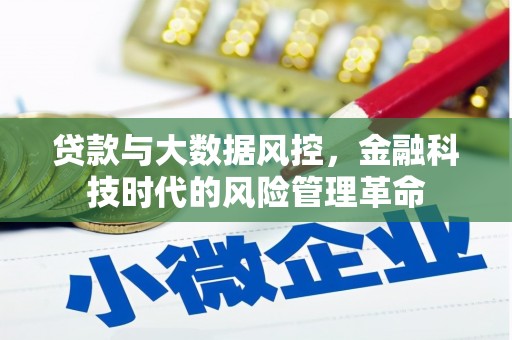 玉树贷款与大数据风控，金融科技时代的风险管理革命