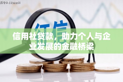 玉树信用社贷款，助力个人与企业发展的金融桥梁