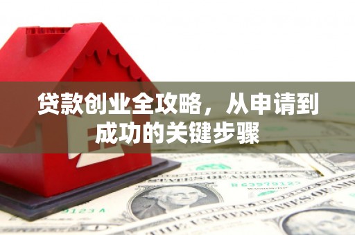 玉树贷款创业全攻略，从申请到成功的关键步骤