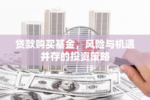 玉树贷款购买基金，风险与机遇并存的投资策略
