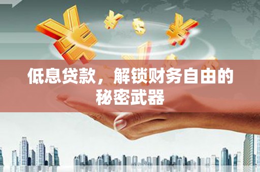 玉树低息贷款，解锁财务自由的秘密武器