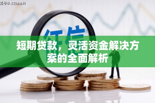 玉树短期贷款，灵活资金解决方案的全面解析