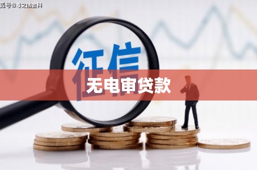 玉树无电审贷款