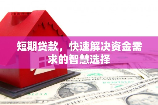 玉树短期贷款，快速解决资金需求的智慧选择