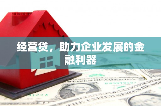 玉树经营贷，助力企业发展的金融利器