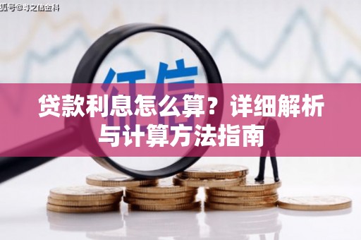 玉树贷款利息怎么算？详细解析与计算方法指南