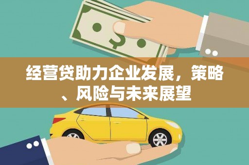 玉树经营贷助力企业发展，策略、风险与未来展望