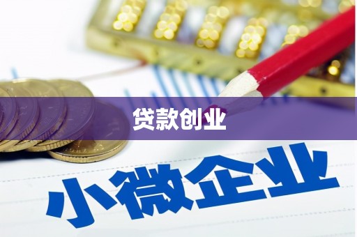 玉树贷款创业