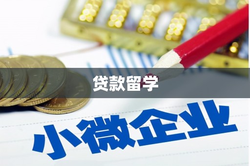 玉树贷款留学