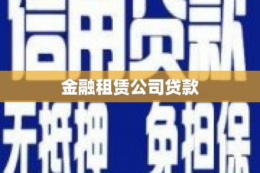 玉树金融租赁公司贷款