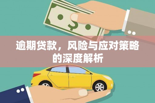 玉树逾期贷款，风险与应对策略的深度解析