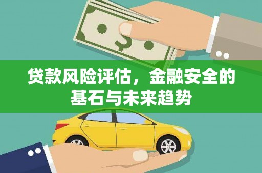 玉树贷款风险评估，金融安全的基石与未来趋势