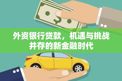 玉树外资银行贷款，机遇与挑战并存的新金融时代