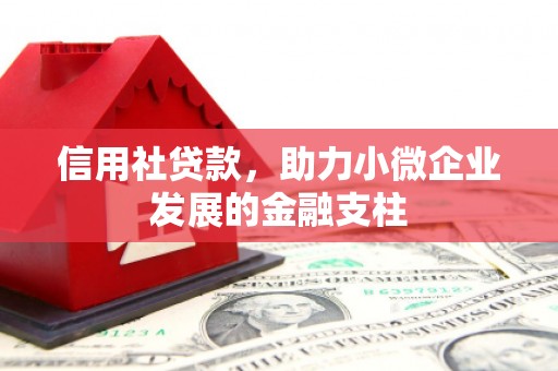 玉树信用社贷款，助力小微企业发展的金融支柱