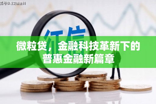 玉树微粒贷，金融科技革新下的普惠金融新篇章