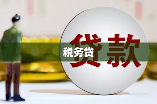玉树税务贷