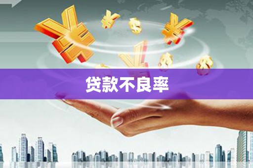 玉树贷款不良率