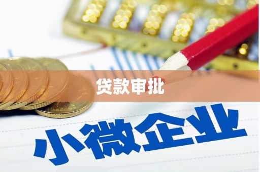 玉树贷款审批