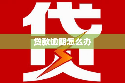 玉树贷款逾期怎么办