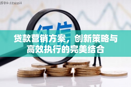 玉树贷款营销方案，创新策略与高效执行的完美结合