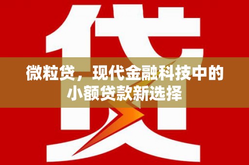 玉树微粒贷，现代金融科技中的小额贷款新选择