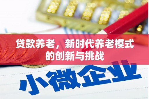 玉树贷款养老，新时代养老模式的创新与挑战
