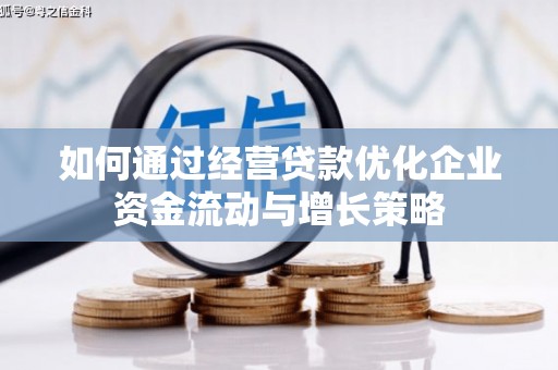 玉树如何通过经营贷款优化企业资金流动与增长策略