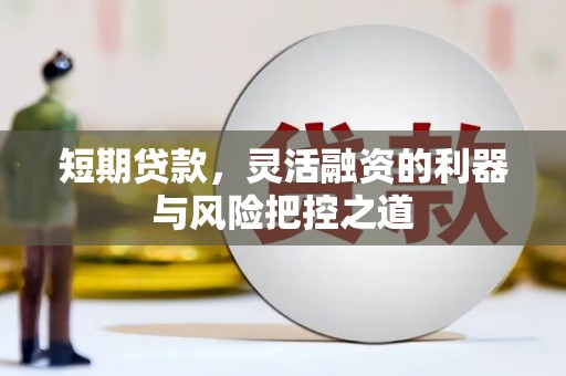 玉树短期贷款，灵活融资的利器与风险把控之道
