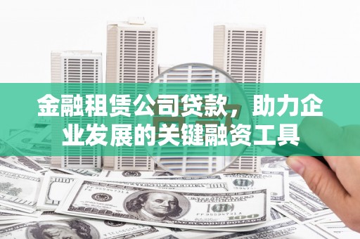 玉树金融租赁公司贷款，助力企业发展的关键融资工具