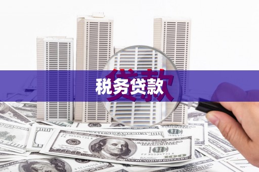 玉树税务贷款