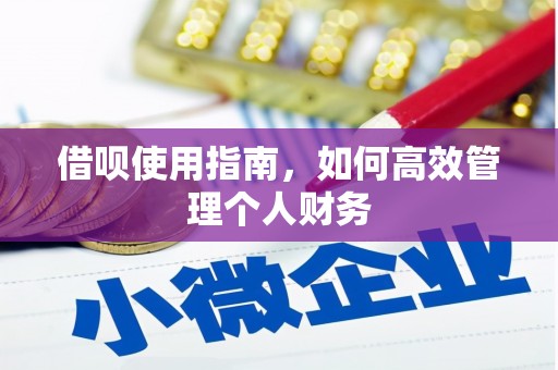 玉树借呗使用指南，如何高效管理个人财务