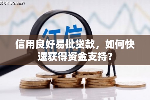 玉树信用良好易批贷款，如何快速获得资金支持？