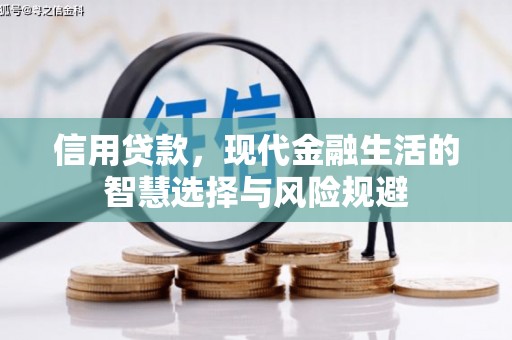 玉树信用贷款，现代金融生活的智慧选择与风险规避