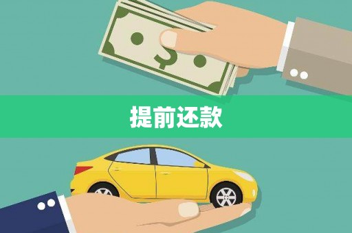 玉树提前还款