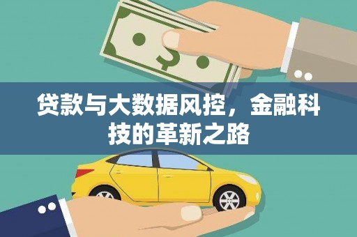 玉树贷款与大数据风控，金融科技的革新之路