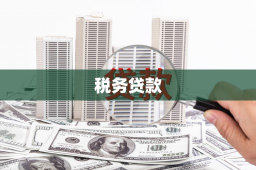 玉树税务贷款
