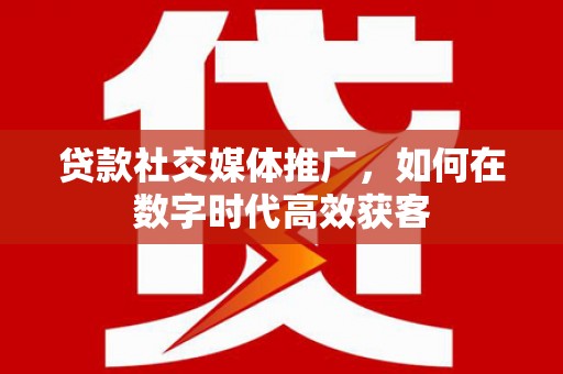 玉树贷款社交媒体推广，如何在数字时代高效获客