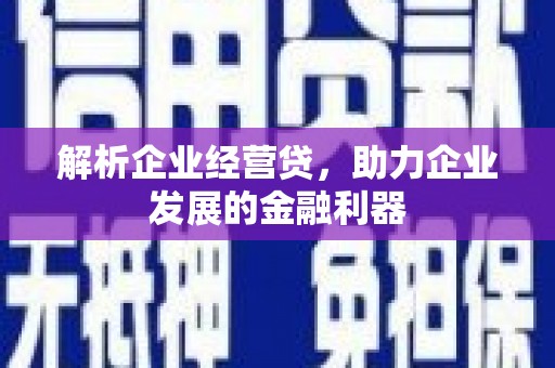 玉树解析企业经营贷，助力企业发展的金融利器