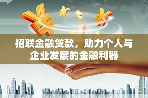 玉树招联金融贷款，助力个人与企业发展的金融利器