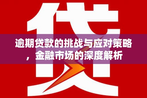 玉树逾期贷款的挑战与应对策略，金融市场的深度解析
