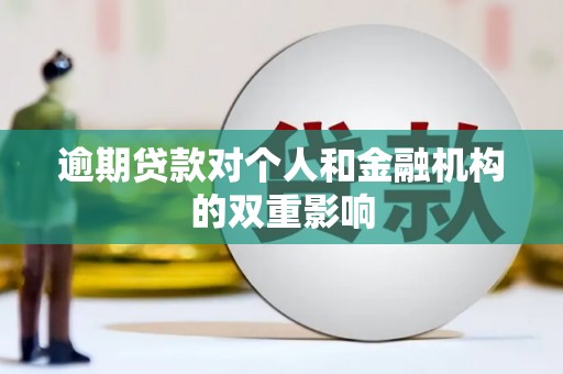 玉树逾期贷款对个人和金融机构的双重影响