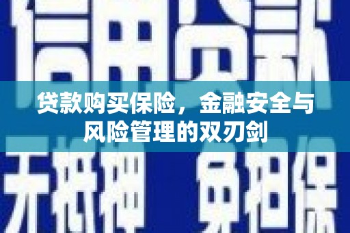 玉树贷款购买保险，金融安全与风险管理的双刃剑