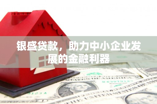 玉树银盛贷款，助力中小企业发展的金融利器