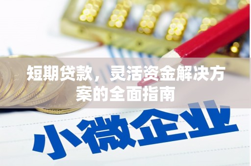 玉树短期贷款，灵活资金解决方案的全面指南